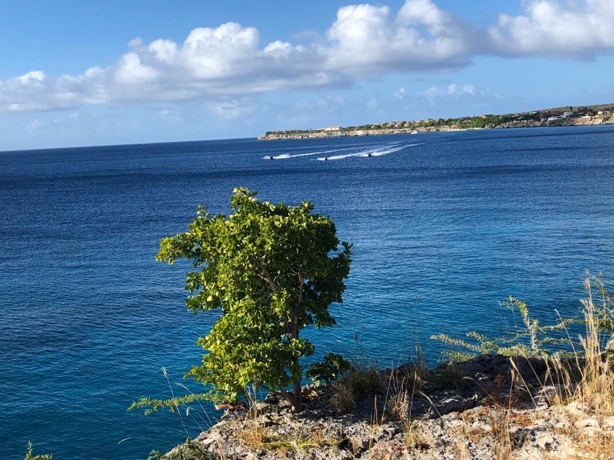 Marazul Dive Resort. 3 Bedroom Seafront House. Dive, Snorkel, Enjoy Amazing Sunsets Westpunt Exterior photo