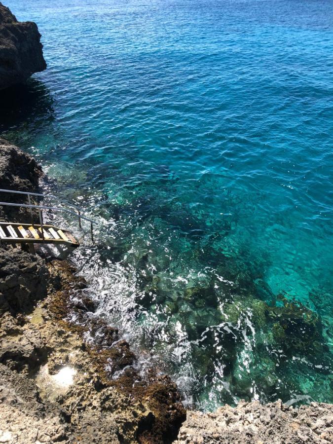 Marazul Dive Resort. 3 Bedroom Seafront House. Dive, Snorkel, Enjoy Amazing Sunsets Westpunt Exterior photo